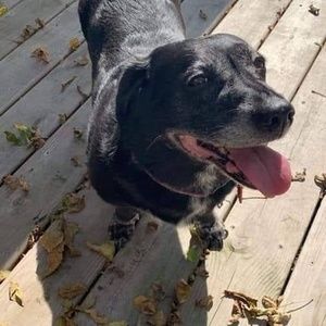 Meet your Posher, Daniele